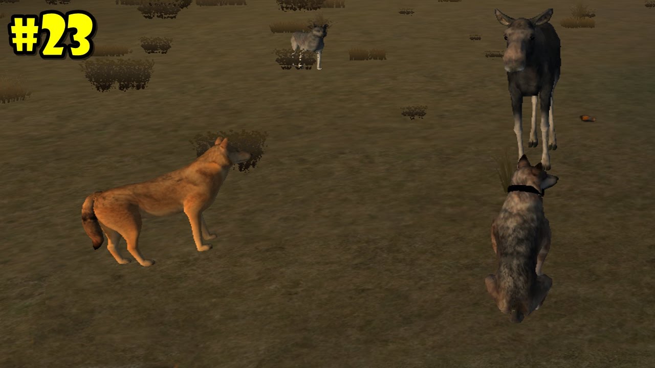 wolf quest 3 download